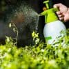 choisir son pulvérisateur de jardin