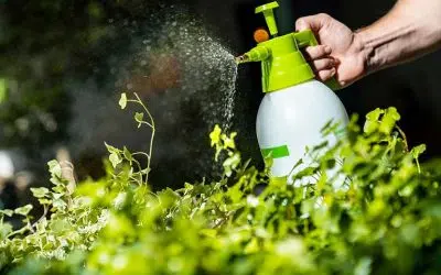 choisir son pulvérisateur de jardin