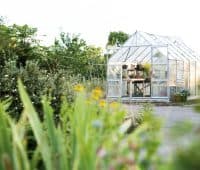 Serre de jardin