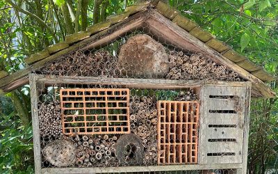 Biodiversité jardin : L'hôtel à insecte