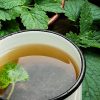 Plantes médicinales anti-spamodiques