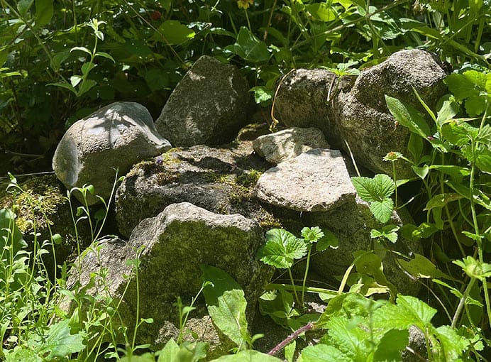 Biodiversité : tas de pierres au jardin