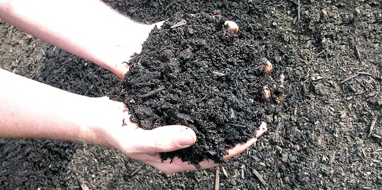 Compost