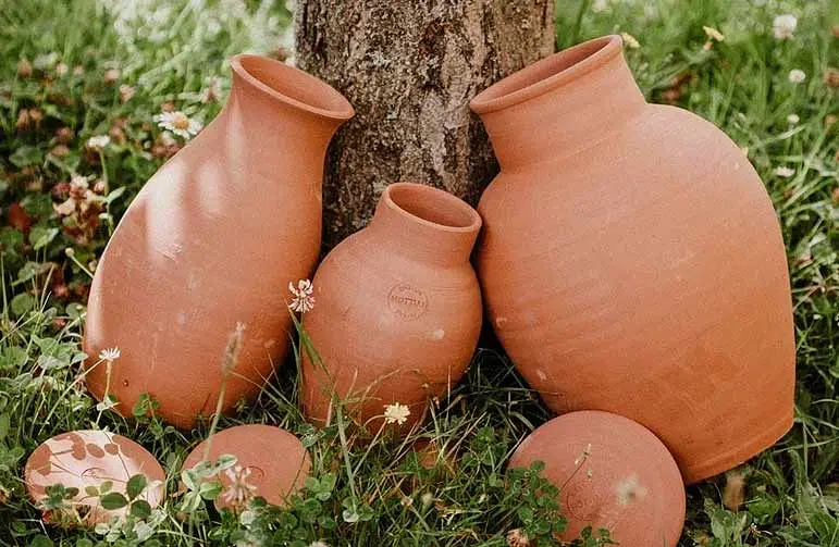 Arrosage avec des oyas ou ollas