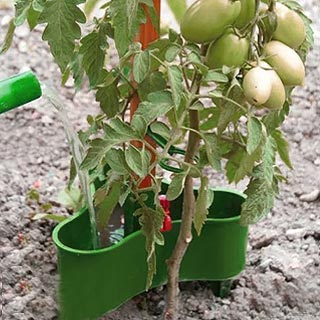 Tuteur tomates avec réservoir d'eau
