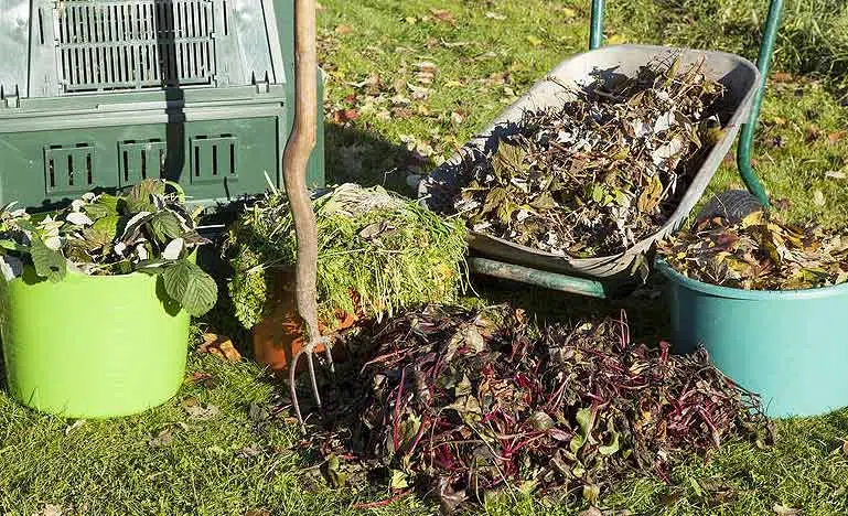 Améliorer la santé de votre sol avec le compost.