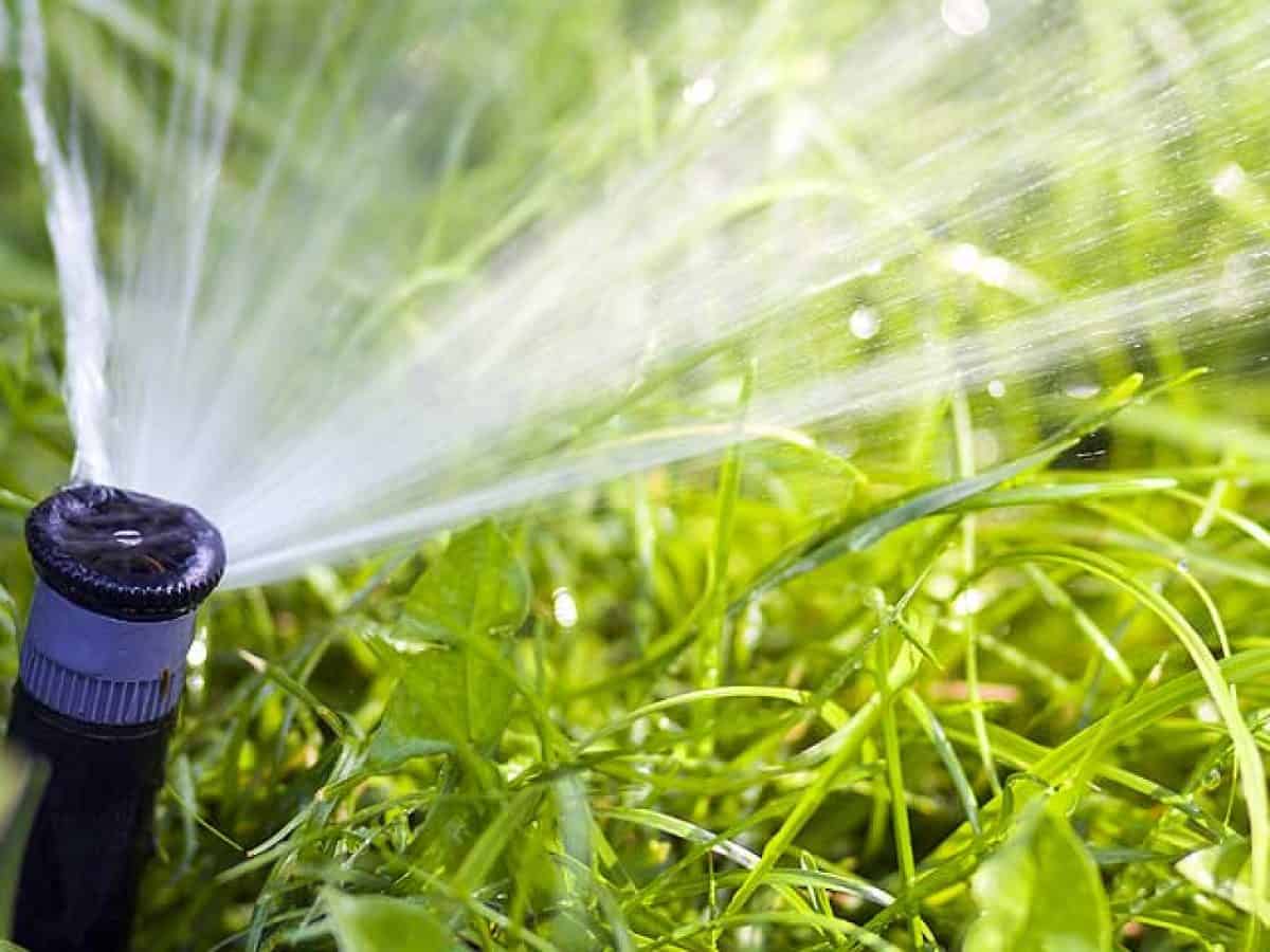 Comment Faire Schéma Organisation Tuyaux Poreux Dans Jardin Potagé Comment utiliser l'arrosage automatique pour le potager ?