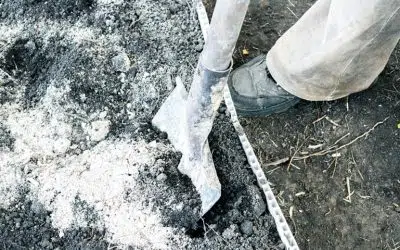 Bien utiliser les cendres au potager