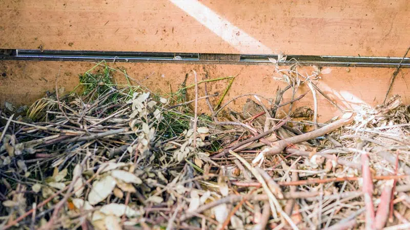 Feuilles mortes dans le compost