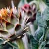 plantation septembre