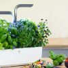 Potager d’intérieur