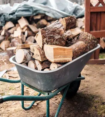 Bois sec dans la brouette