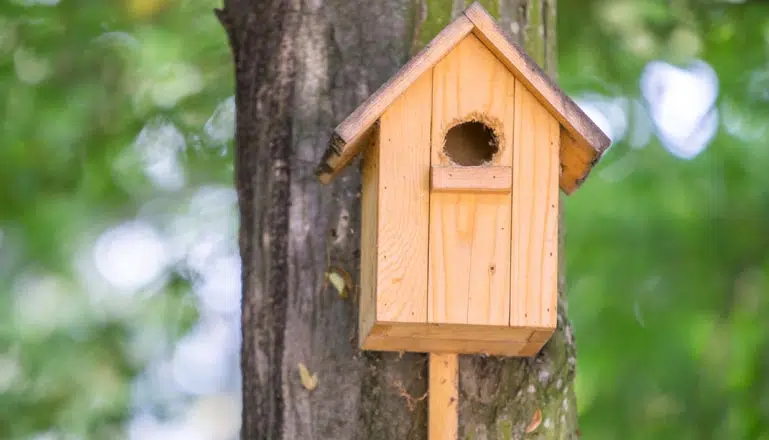 Fabrication nichoir à oiseaux