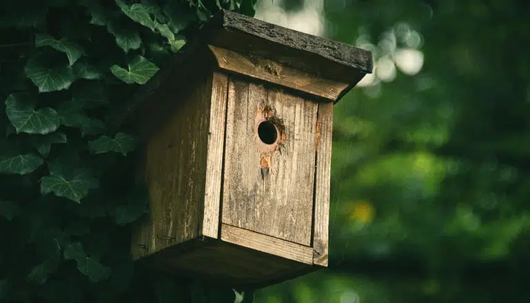 Format de nichoir en bois avec un trou