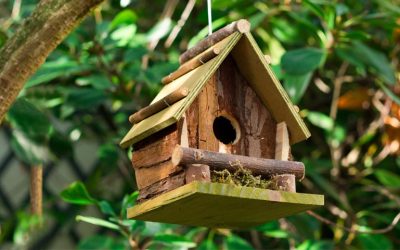 Nichoir à oiseaux