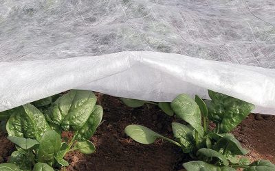 Voile d'hivernage