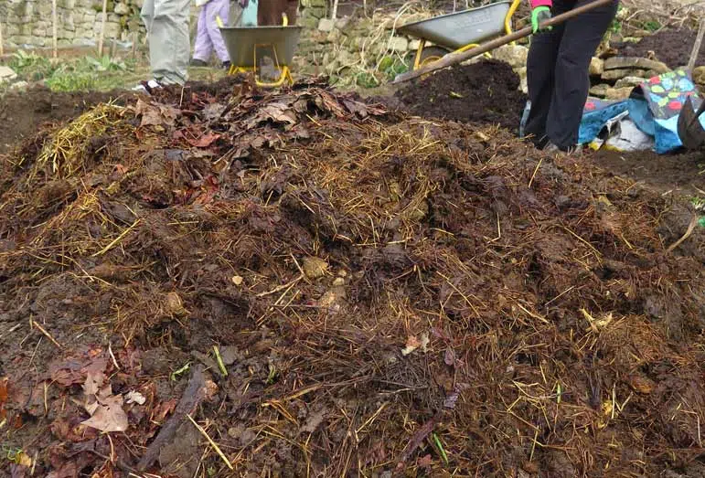 Terreau de feuilles associé au compost