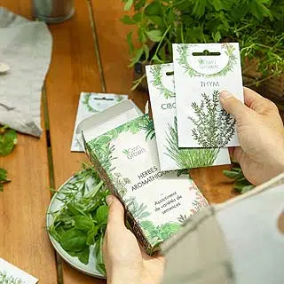 Le kit de plantation d'herbes aromatiques