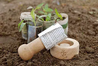 Le kit de plantation en papier