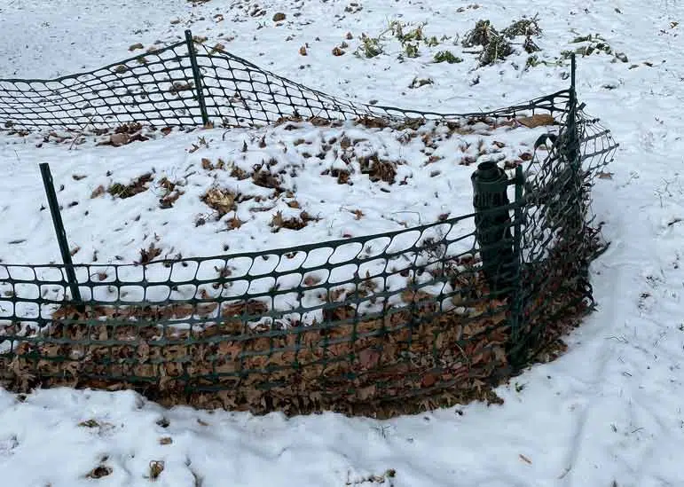 Compost sous la neige.