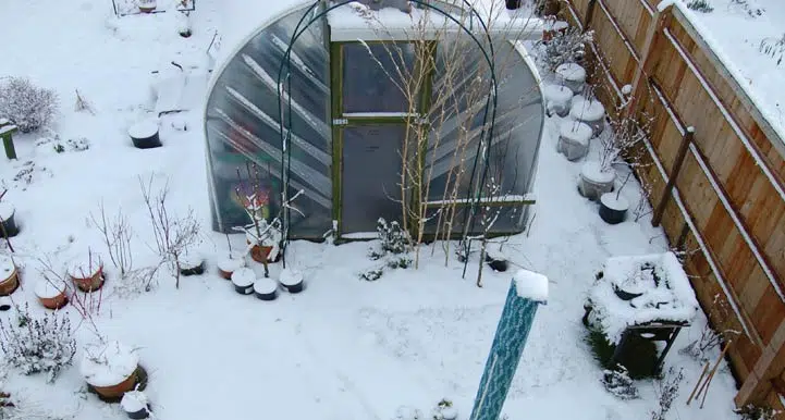 L'arrivée de la neige au potager.