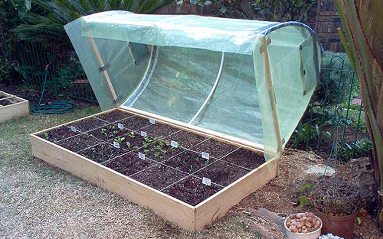 Petite serre parfaite en protection hivernale.