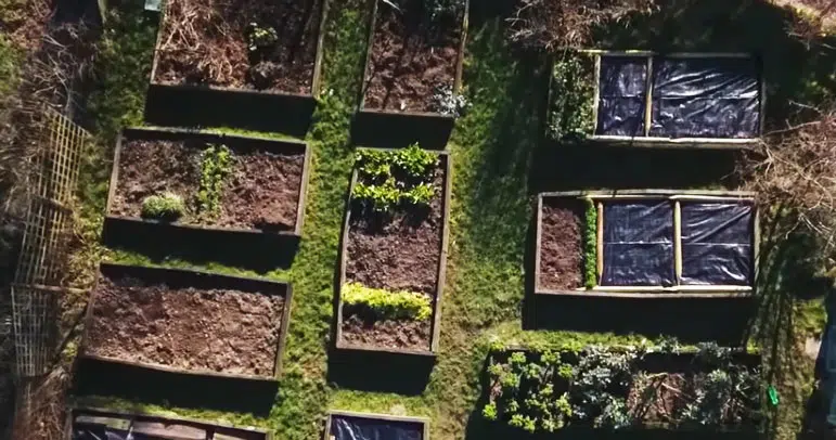 Pour gagner de la place au potager, soyez organisé !