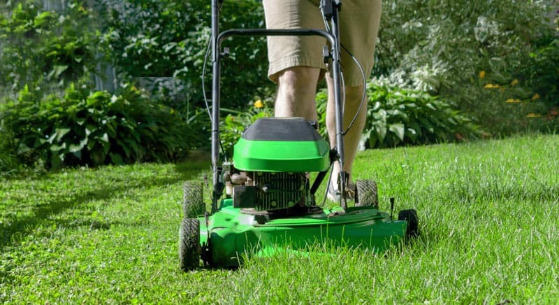 À quelle hauteur couper sa pelouse ?