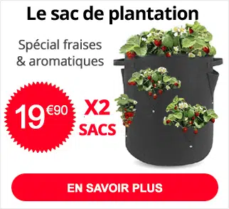 Sac fraises et aromatiques