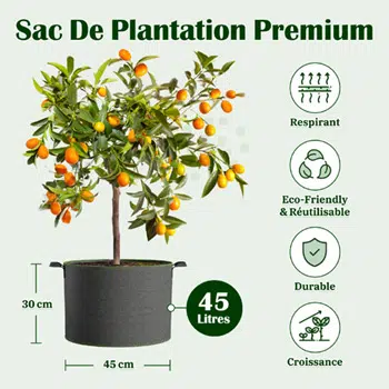 Récipient de plantation rectangulaire à 4 trous, sac en tissu non