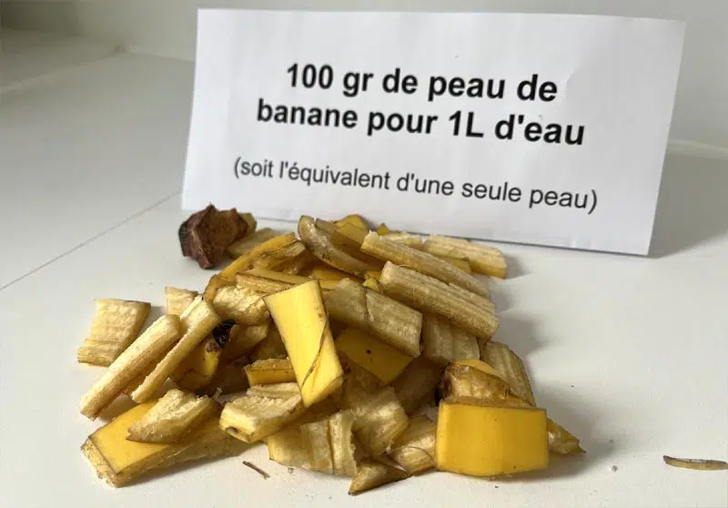 Peau de banane coupée en petits morceaux