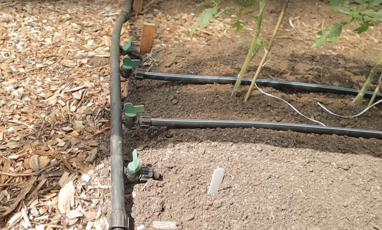 Système d'irrigation par tuyaux asperseurs.