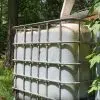 économiser l'eau au jardin