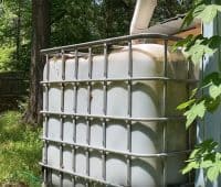 économiser l'eau au jardin