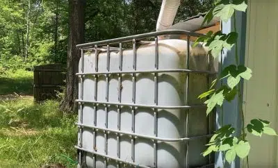 économiser l'eau au jardin