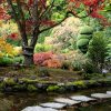 Jardin de style japonais