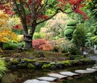 Jardin de style japonais