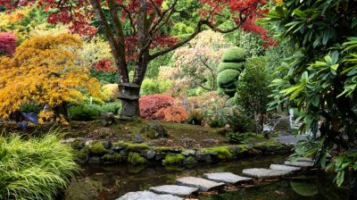 Jardin de style japonais