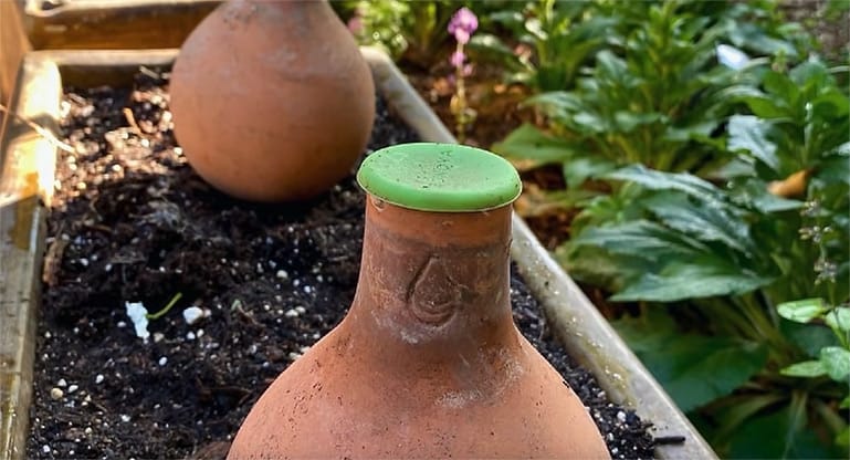 Irrigation] Vérifier ses Ollas - Le Potager du Poiraud