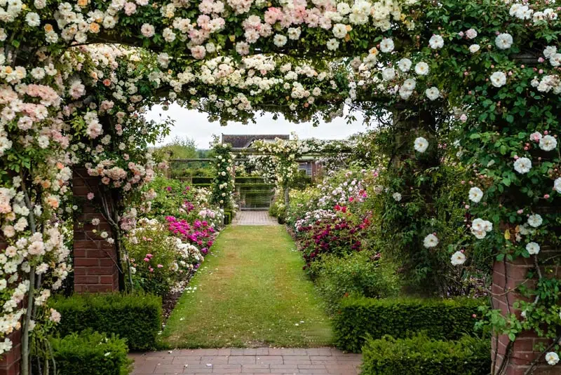 Tonnelle ouvrant un jardin anglais bordé de rosiers