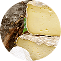 Croûte de fromage dans le compos
