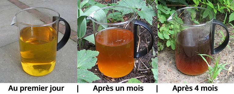 Stocker l'urine élimine les résidus médicamenteux ou toxiques