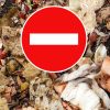 10 choses à ne pas mettre dans le composteur