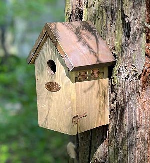 Achat nichoir oiseau