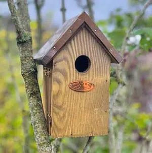 Nichoirs et mangeoires pour vos oiseaux