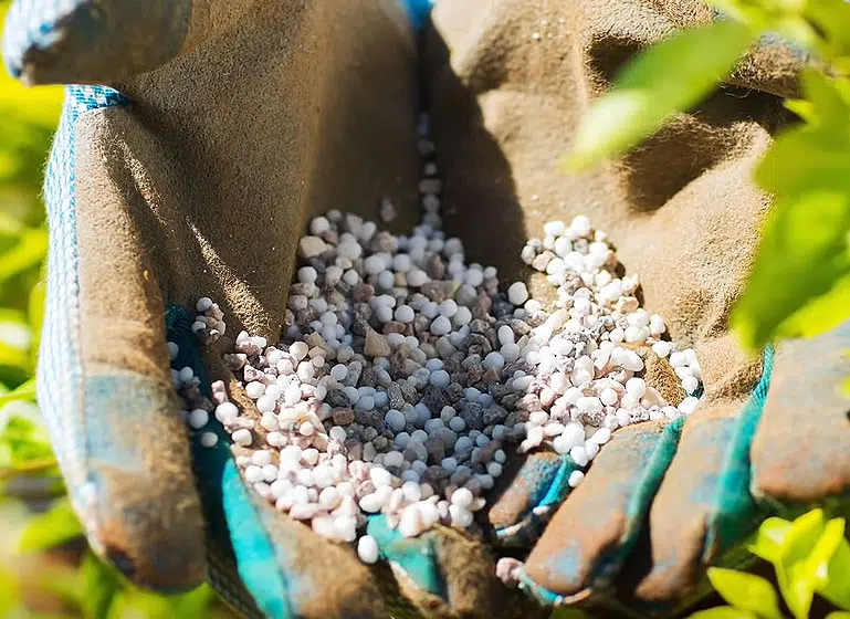 Utilisation d'engrais naturels minéraux pour nourrir les plantes et stimuler leur croissance.