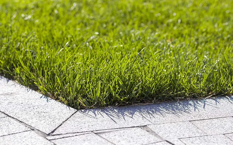 Comment conserver la belle couleur verte du gazon en été ?