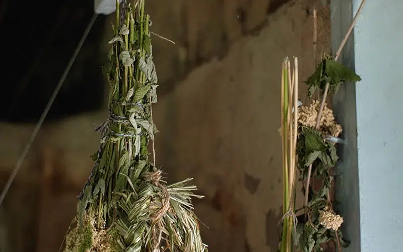 Herbes qui sèchent à l'air libre