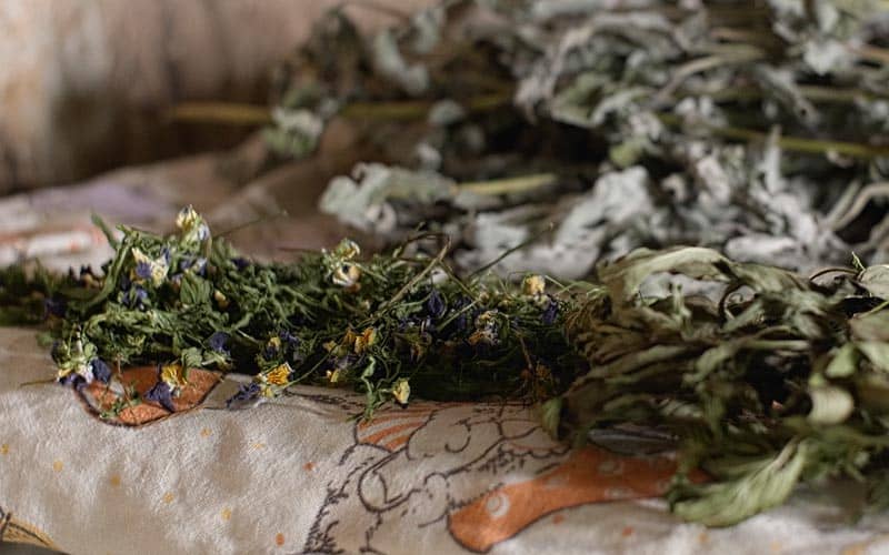Herbes séchées au four