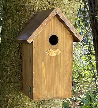 Achat nichoir Mésange charbonnière